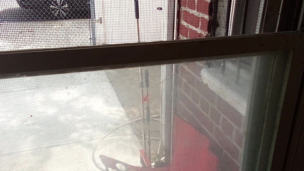 Photo of Others in Canarsie