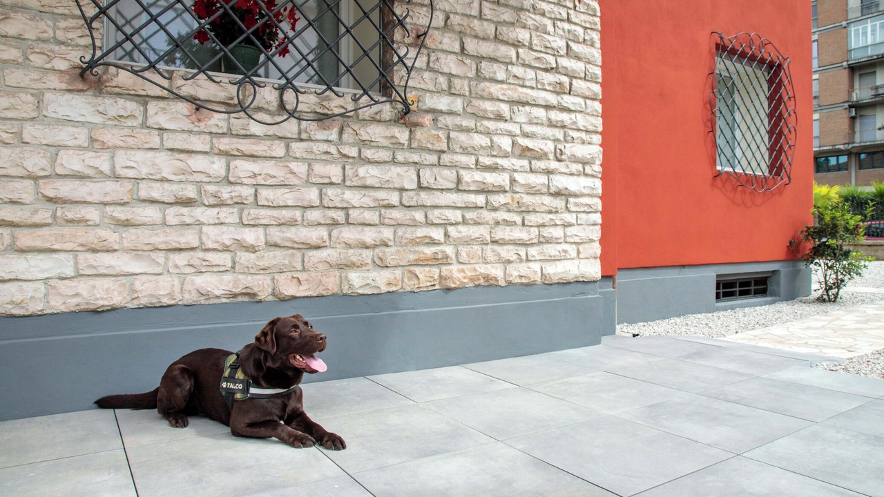 Photo of Outdoor in Vicenza