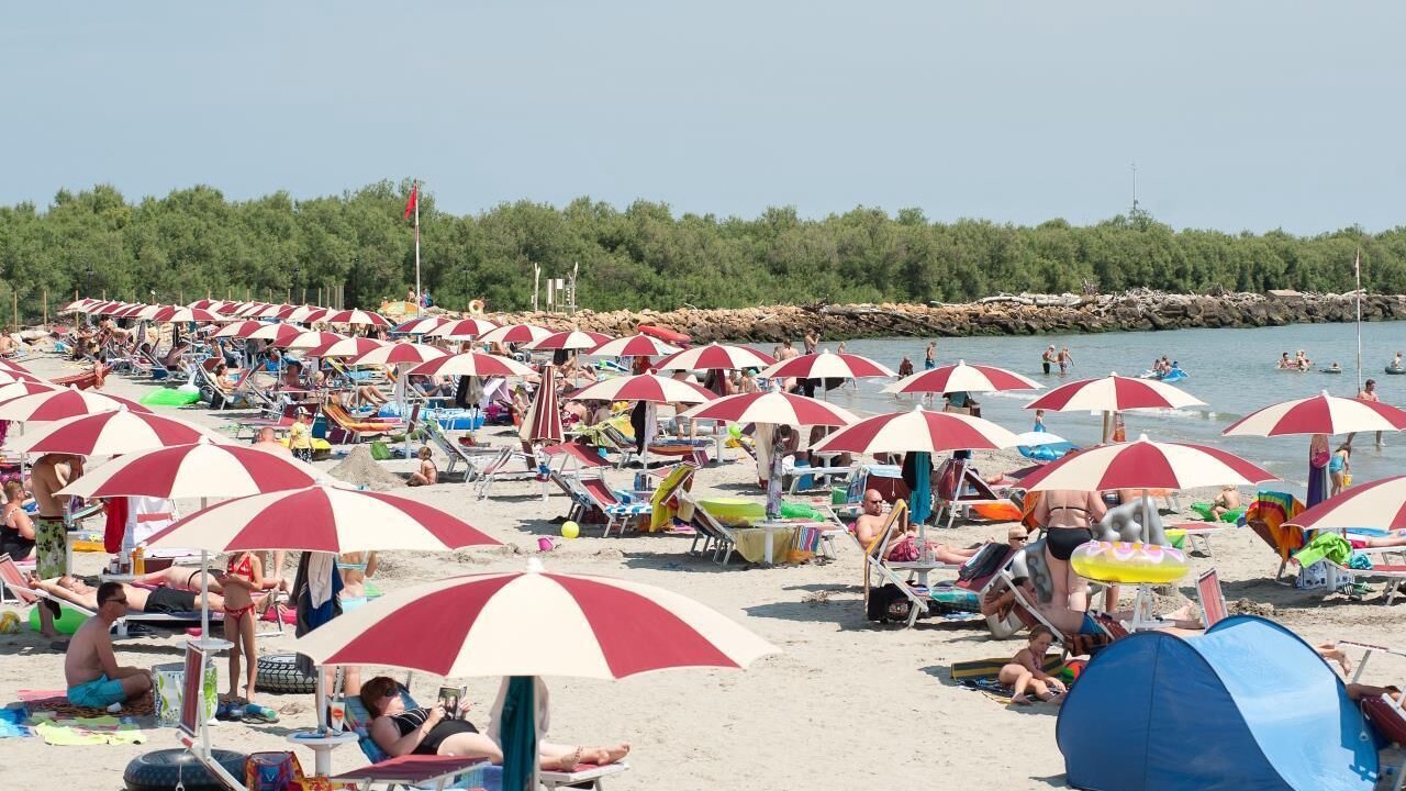 Photo of Others in Scardovari