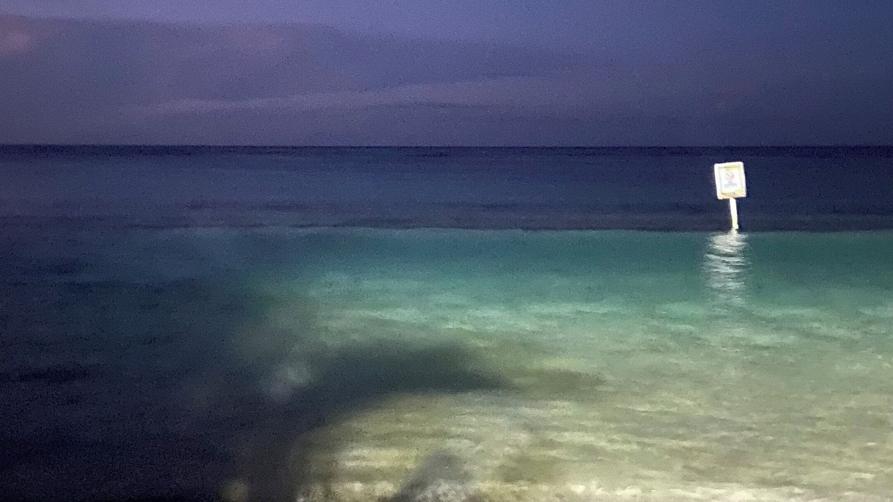 Photo of Others in Runaway Bay
