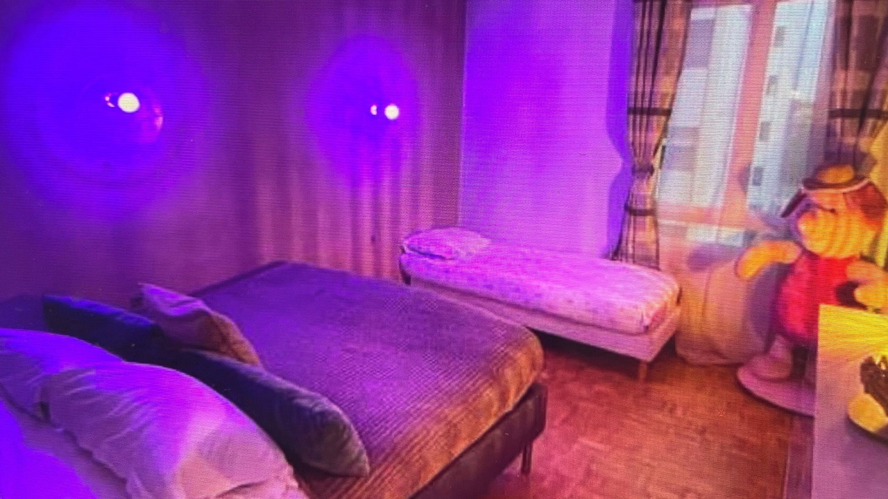 Photo of Bedroom in Cachan