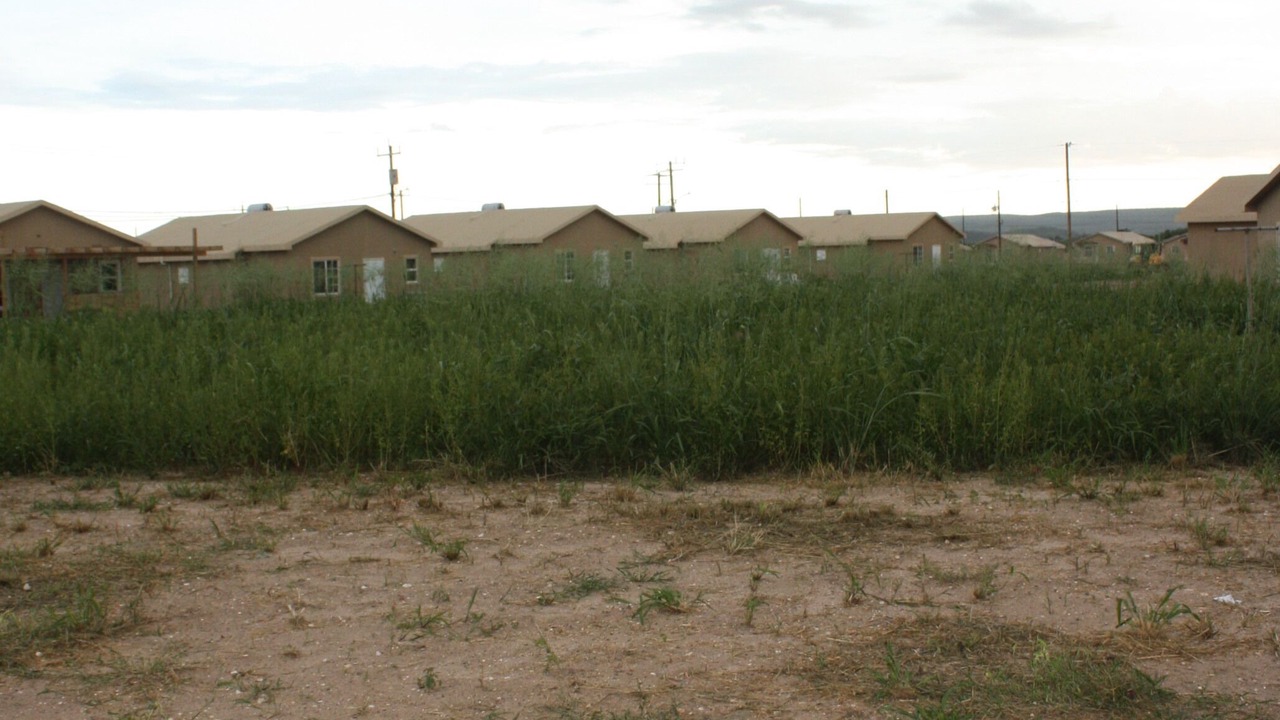 Photo of Others in Spring Village