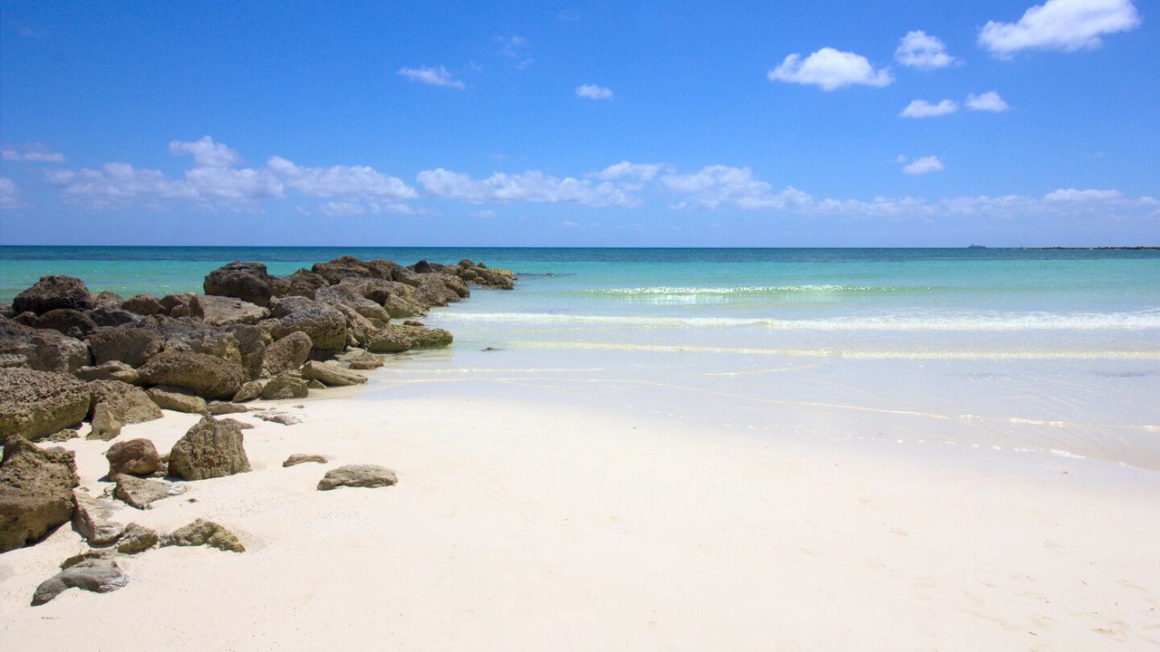 Photo of Others in Bahamas Terrace