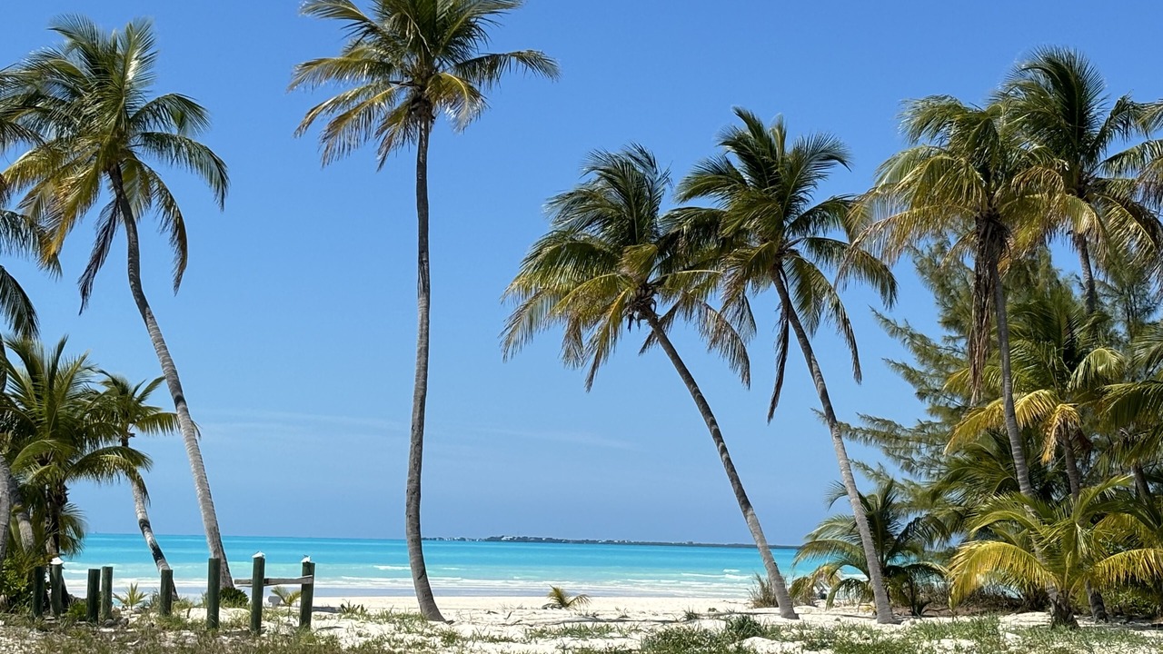 Photo of Others in Treasure Cay