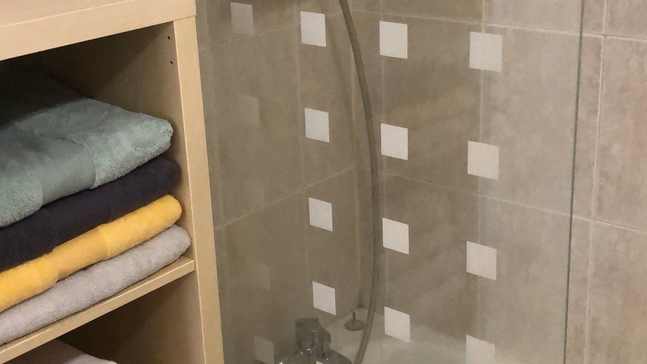 Photo of Bathroom in Cachan
