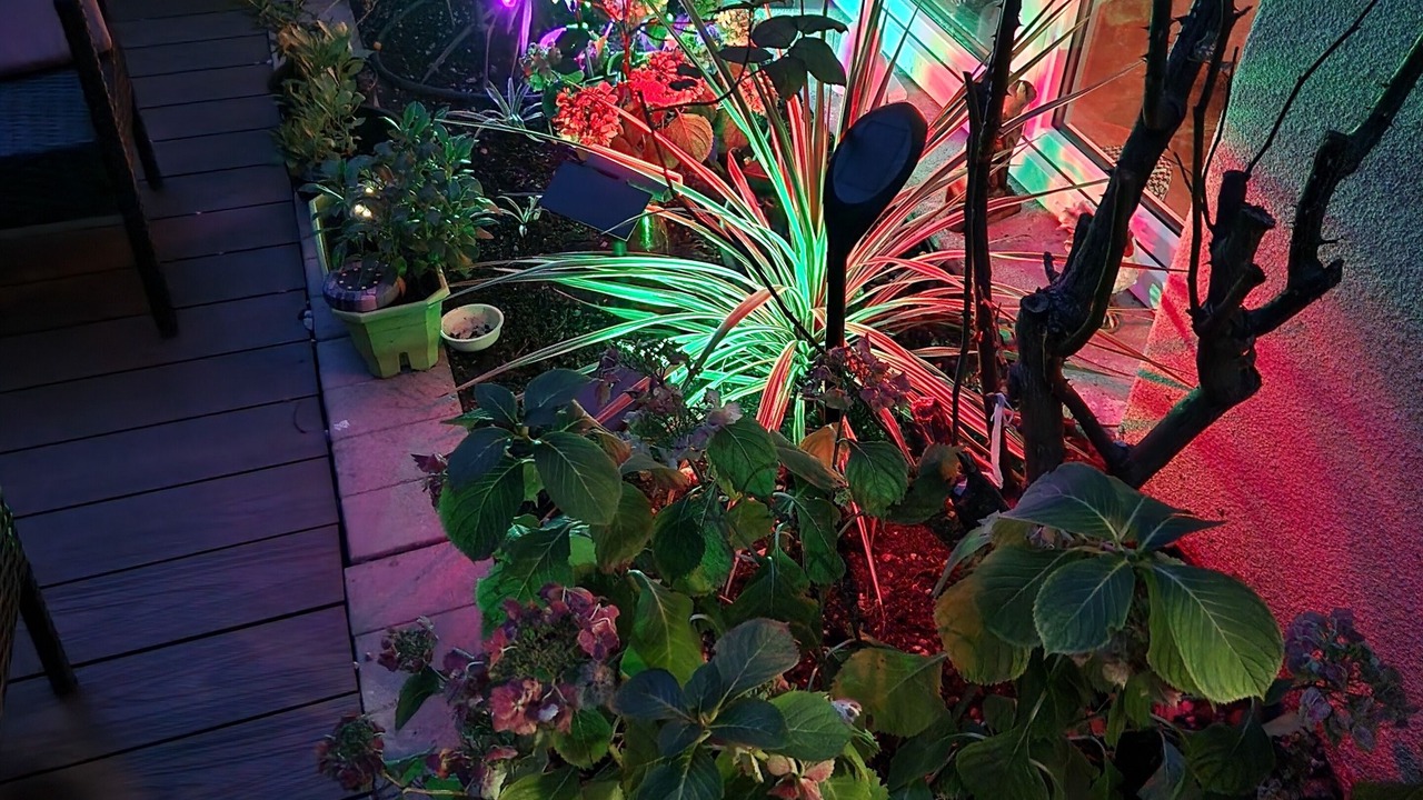 Photo of Outdoor in Alfortville