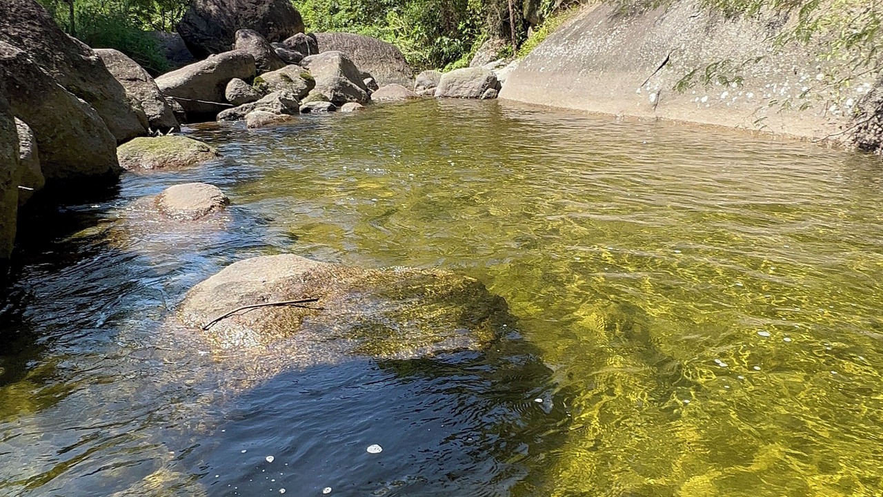Photo of Others in Paraty