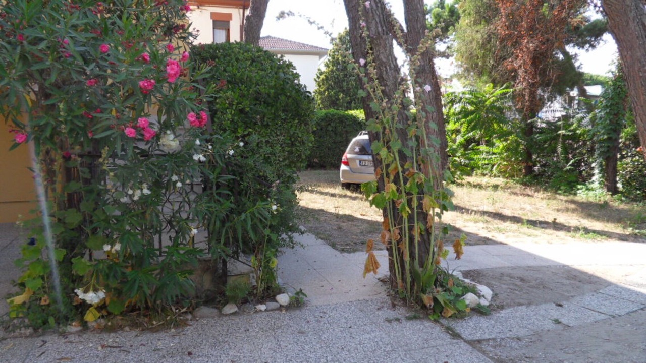 Photo of Outdoor in Rosolina Mare