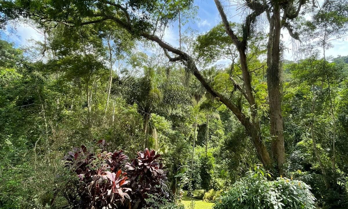 Photo of Outdoor in Vassouras