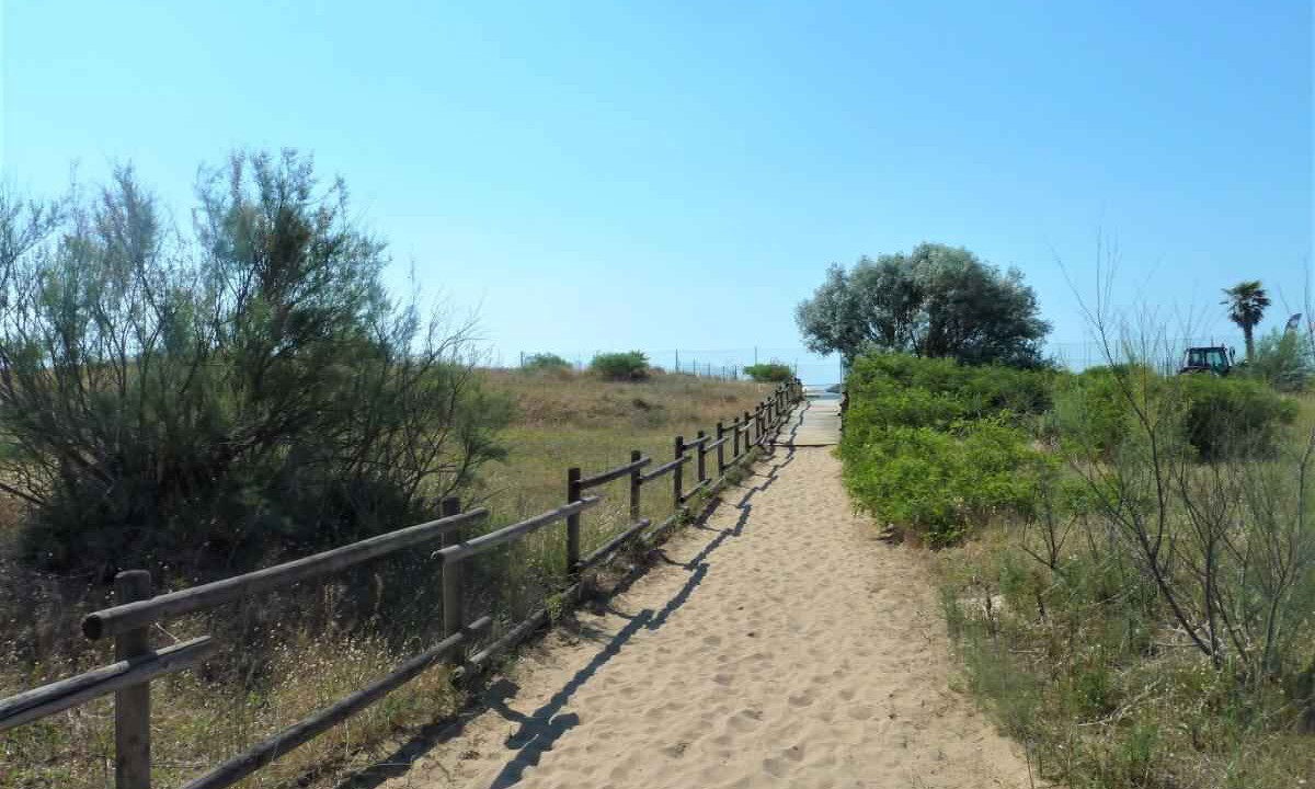 Photo of Outdoor in Jesolo Pineta