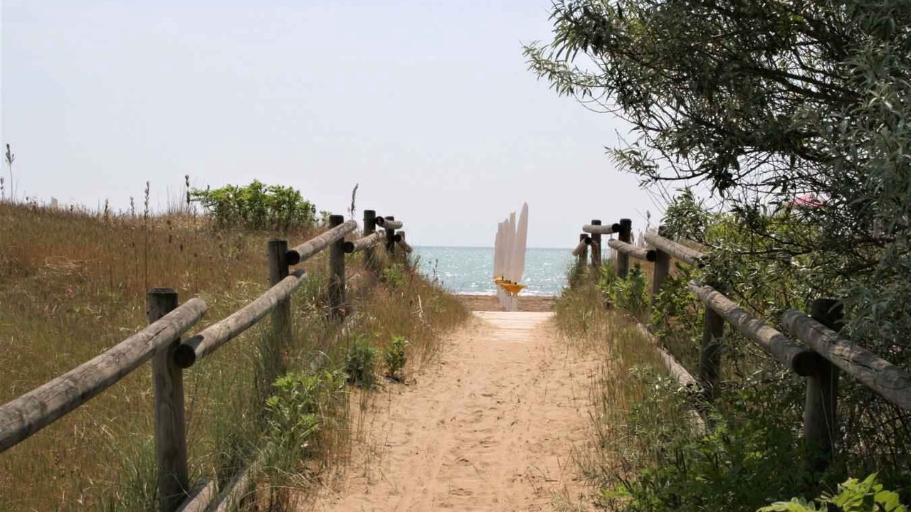 Photo of Others in Jesolo Pineta