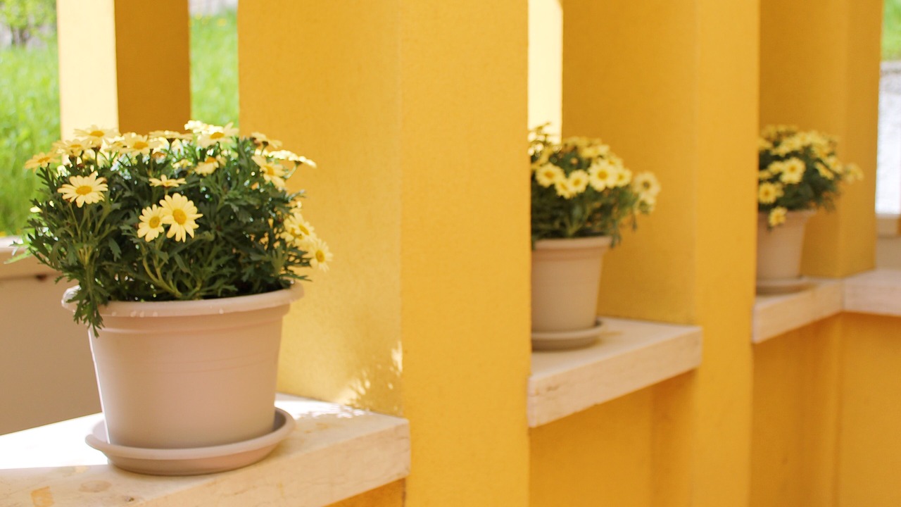 Photo of Outdoor in Negrar