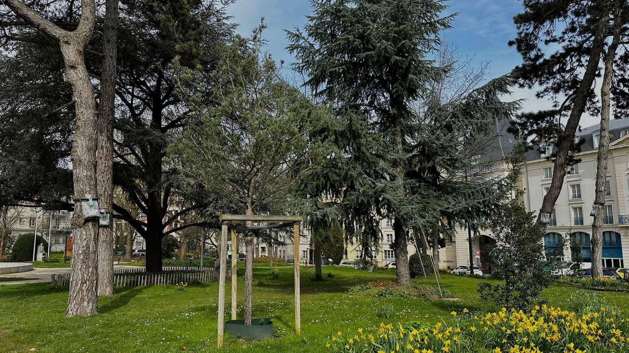 Photo of Outdoor in Le Plessis-Robinson
