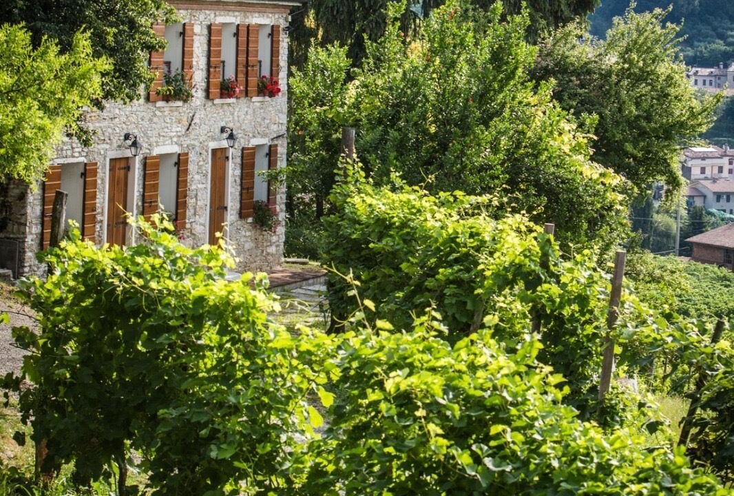 Photo of Outdoor in Valdobbiadene