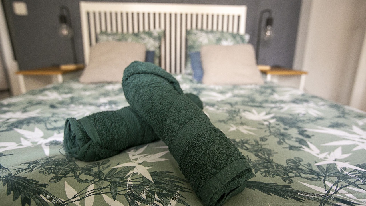 Photo of Bedroom in Alfortville