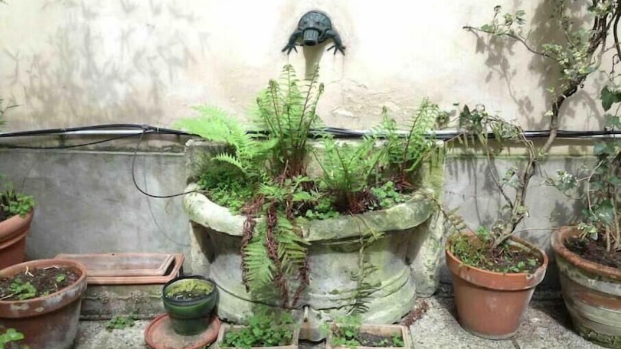 Photo of Outdoor in Hopital Saint-Louis