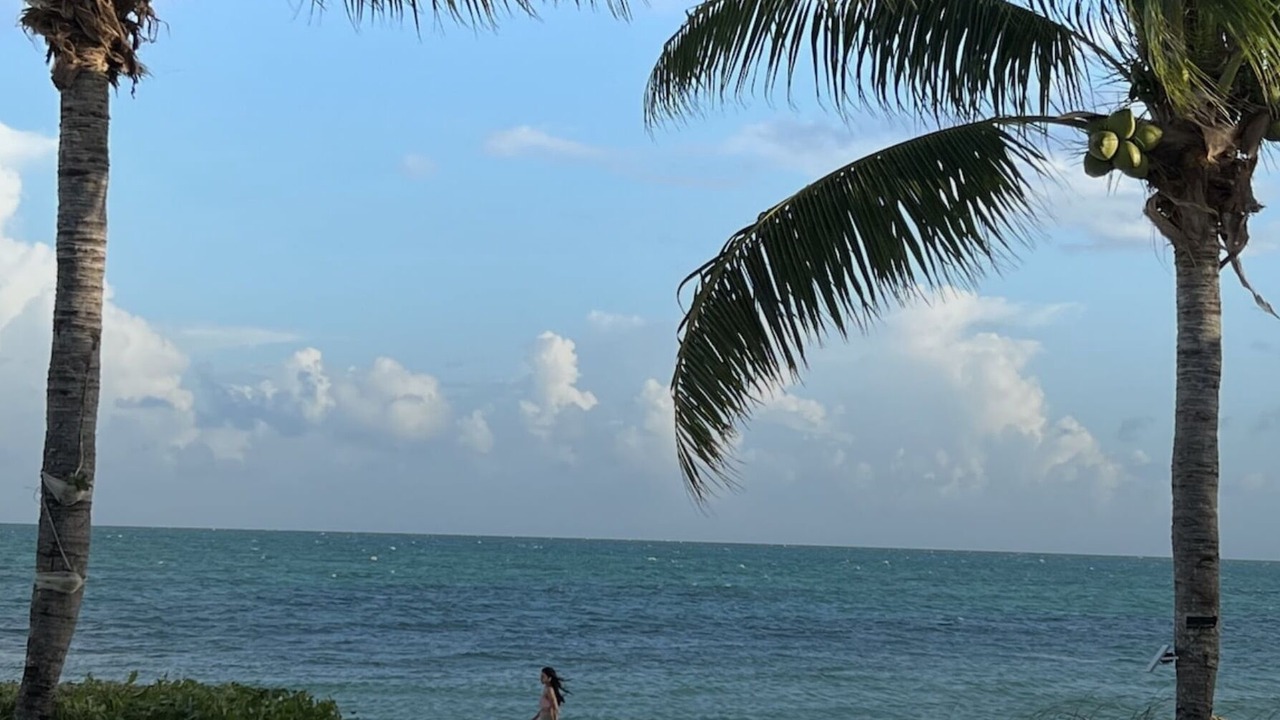 Photo of Others in Downtown Nassau