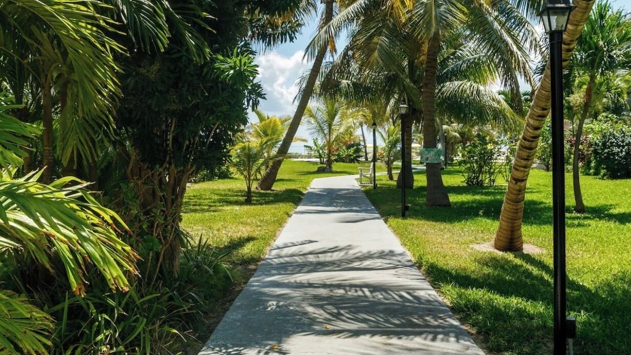 Photo of Outdoor in Freeport