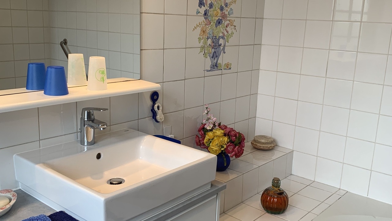 Photo of Bathroom in Sceaux