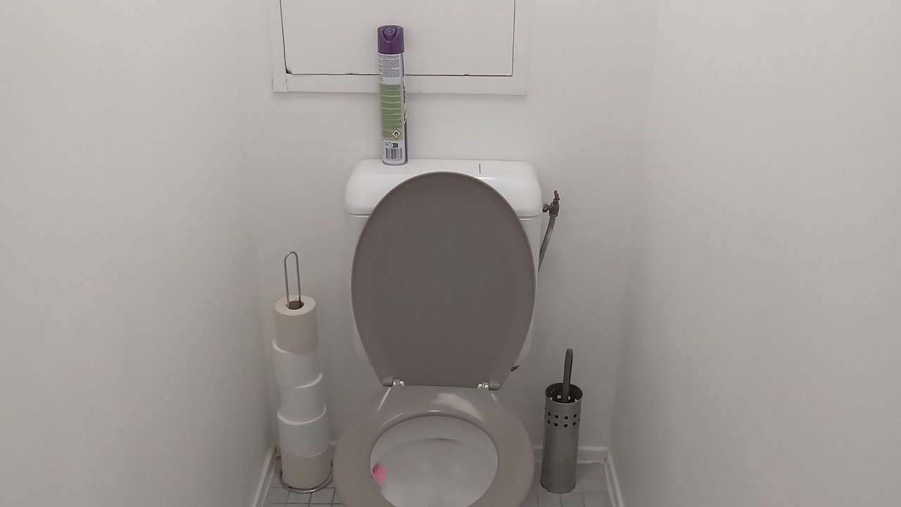 Photo of Bathroom in Bas du Mont-Mesly
