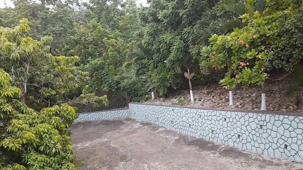 Photo of Outdoor in Saint Andrew