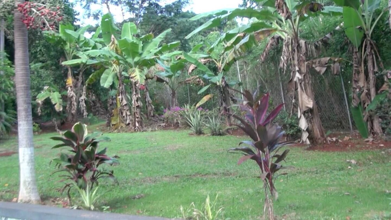 Photo of Outdoor in Saint Andrew