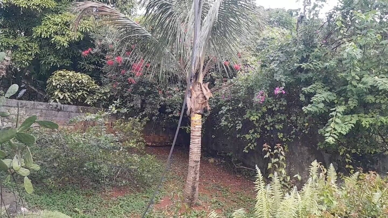 Photo of Outdoor in Saint Andrew
