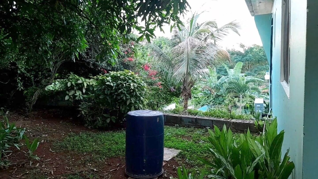 Photo of Outdoor in Saint Andrew