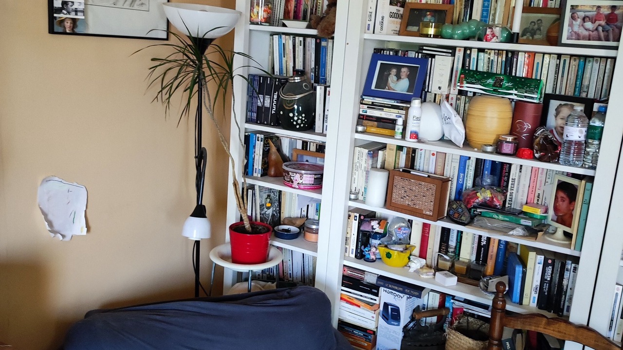 Photo of Livingroom in Le Blanc-Mesnil
