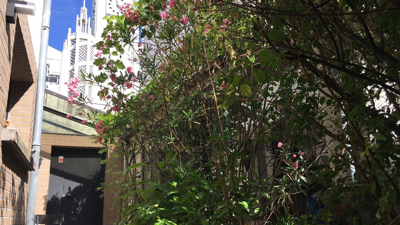Photo of Outdoor in Charonne