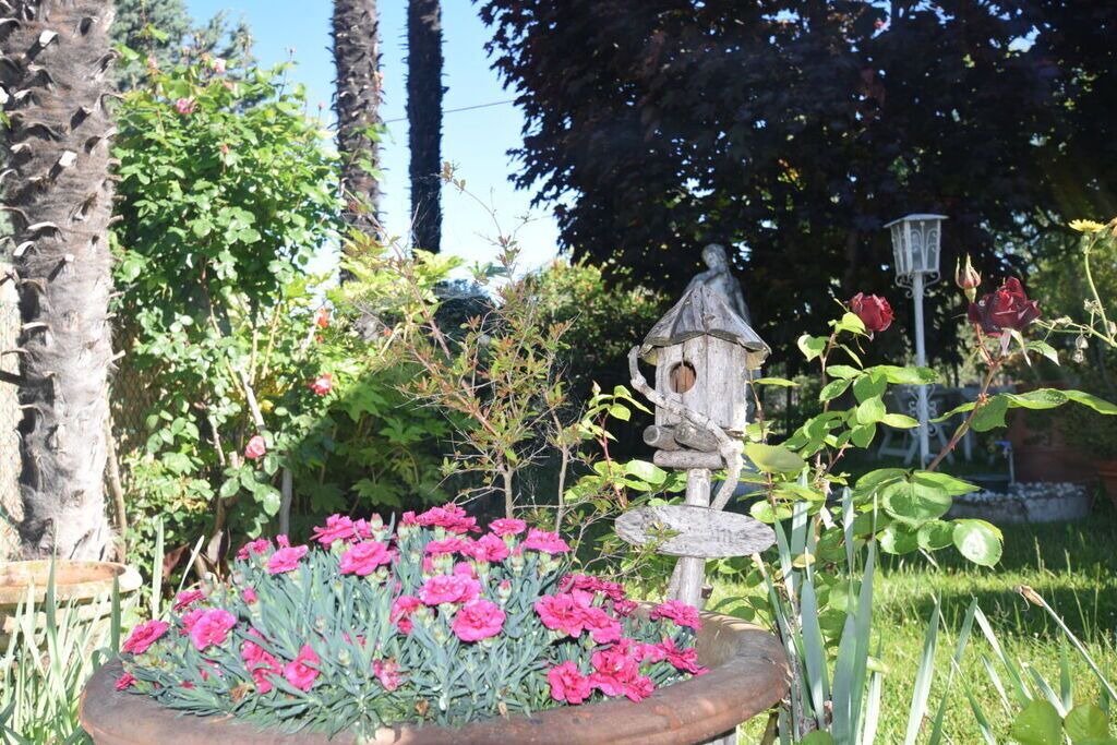 Photo of Outdoor in Lazise