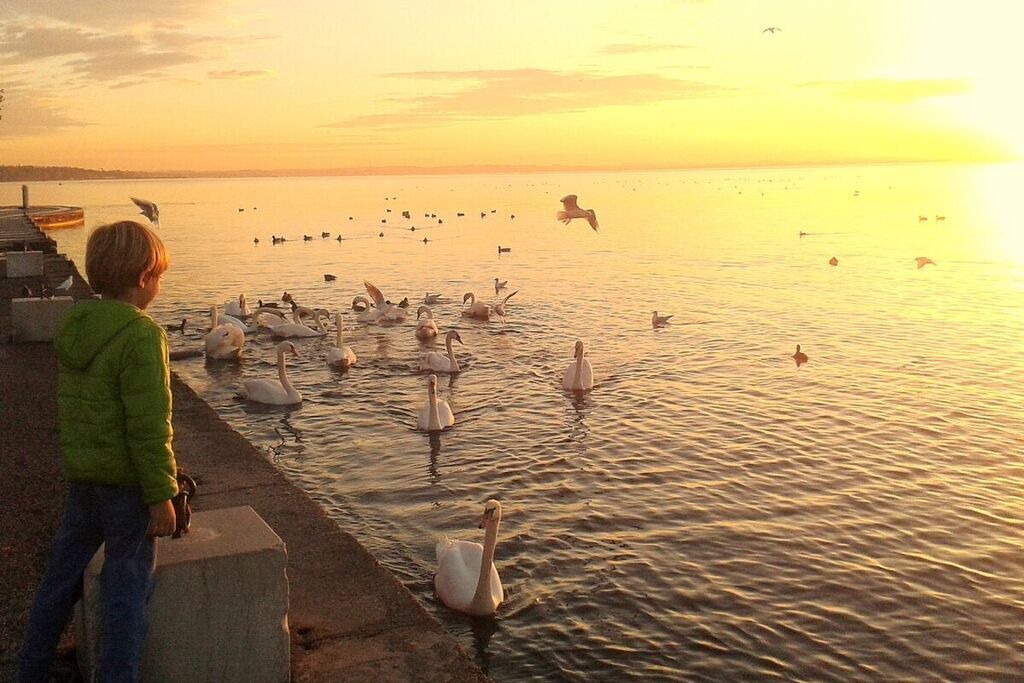 Photo of Others in Lazise