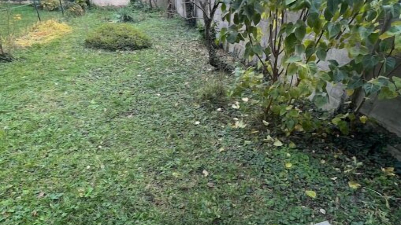 Photo of Outdoor in Antony