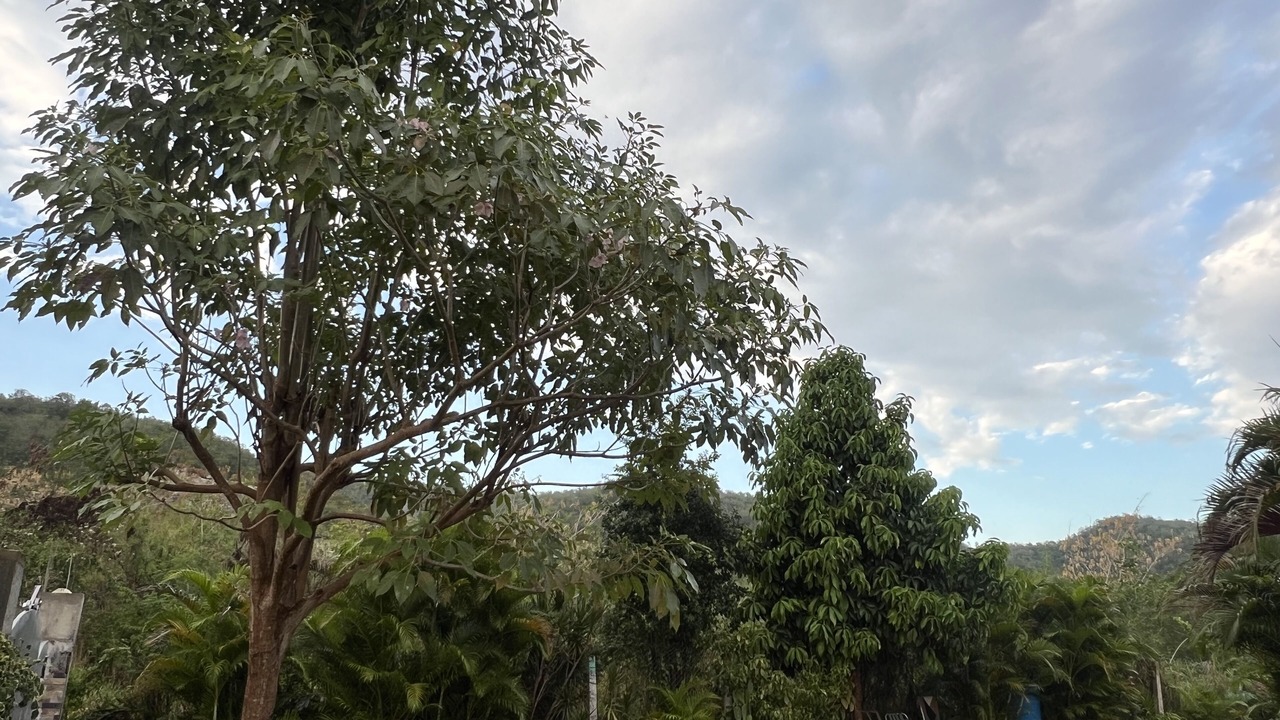 Photo of Outdoor in Spring Village