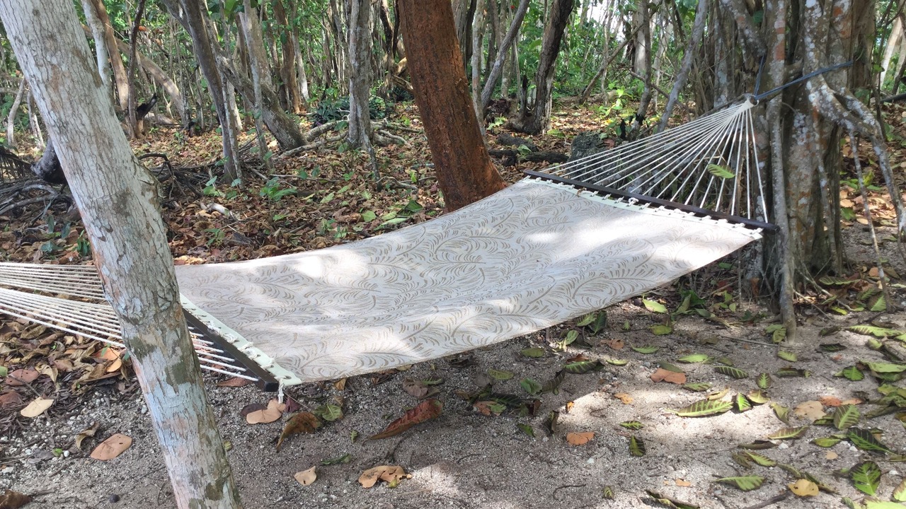 Photo of Outdoor in Green Island