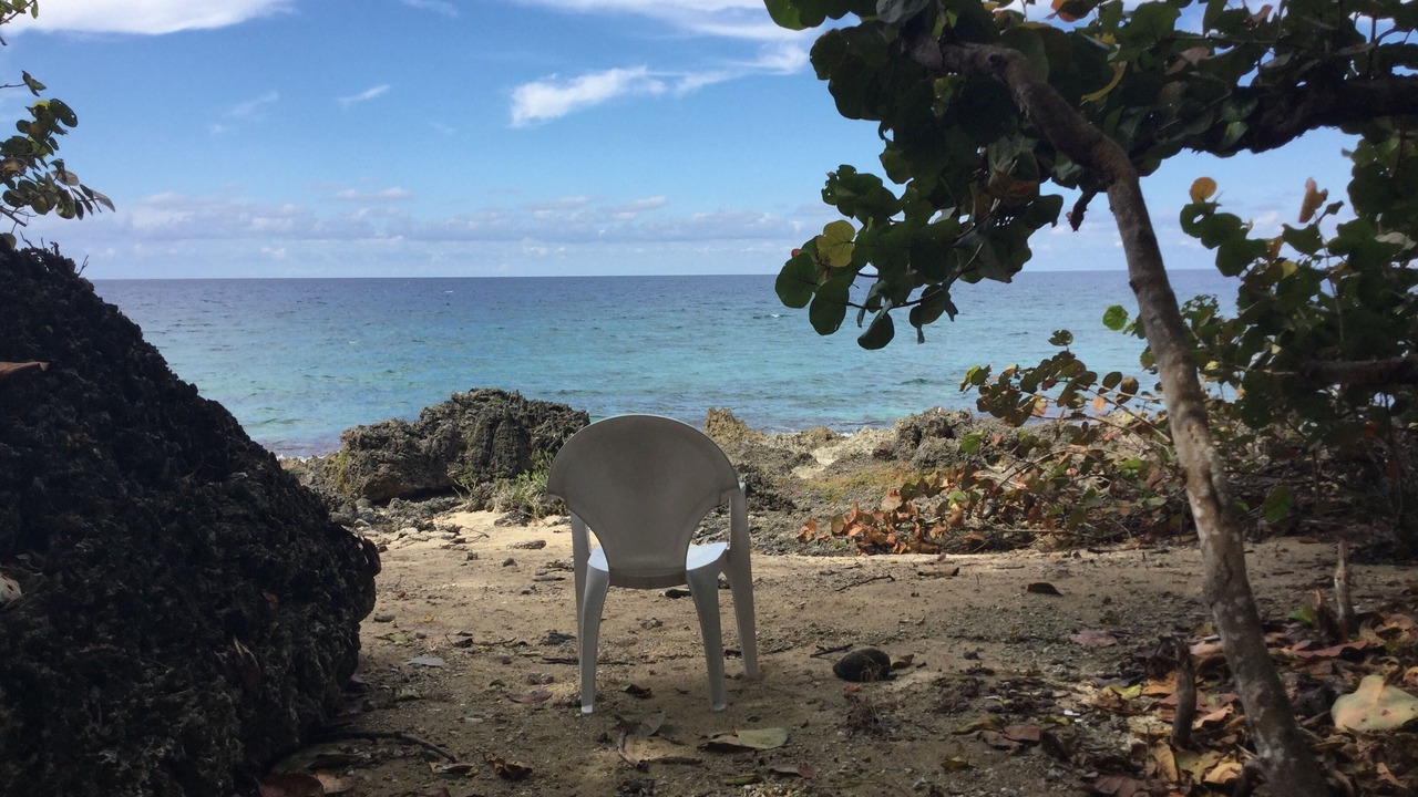 Photo of Others in Green Island