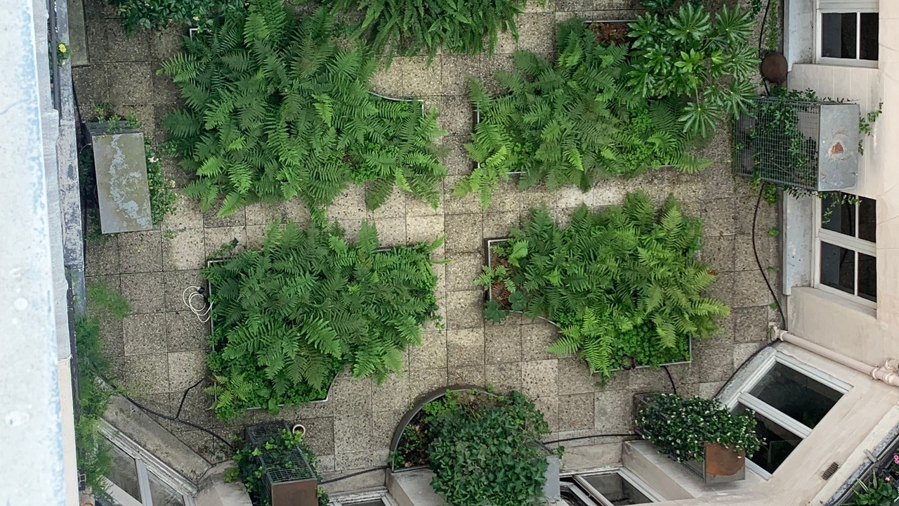 Photo of Outdoor in Quartier de la Monnaie