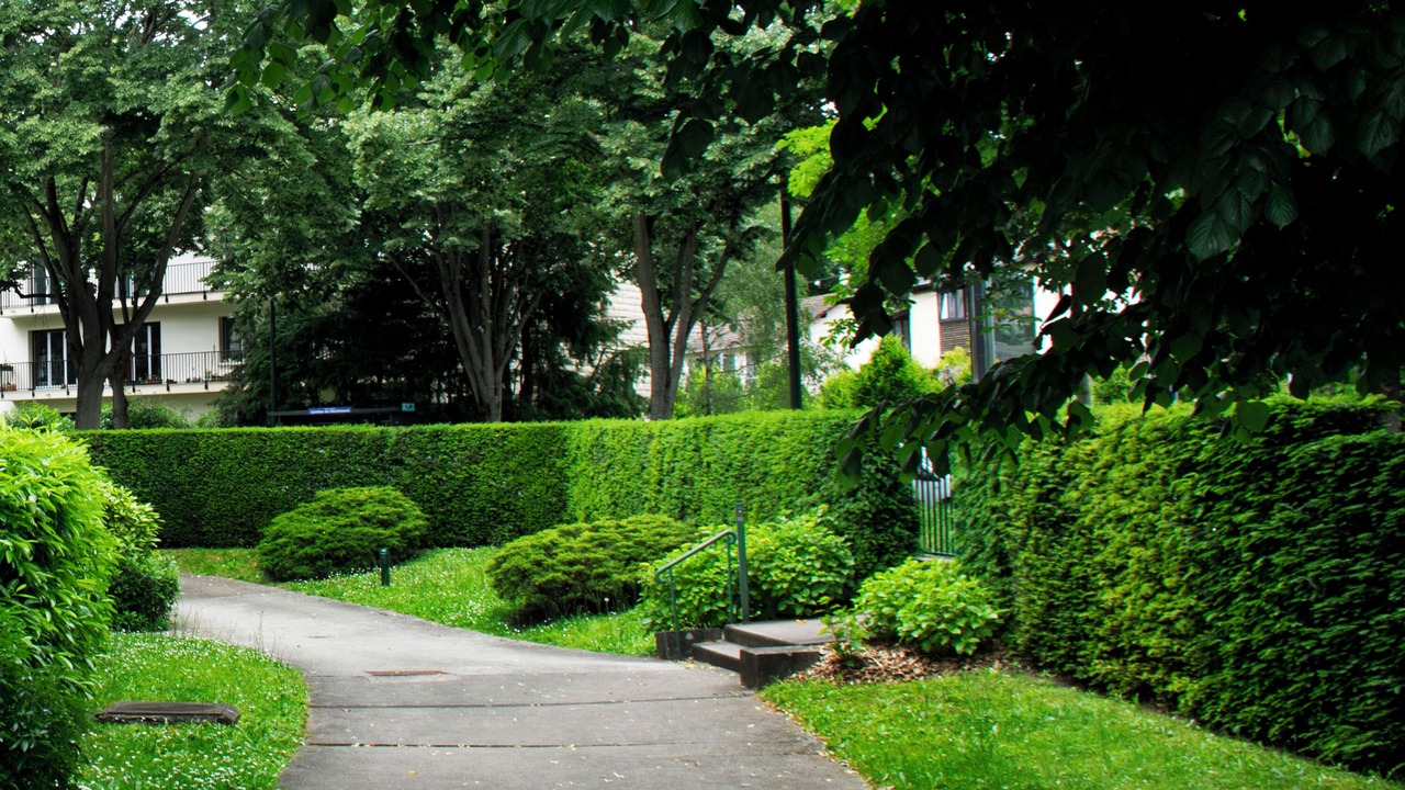 Photo of Outdoor in Fontenay-aux-Roses