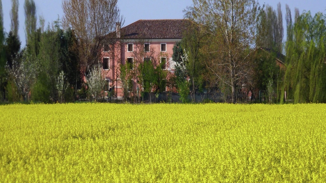 Photo of Outdoor in Pontecchio Polesine