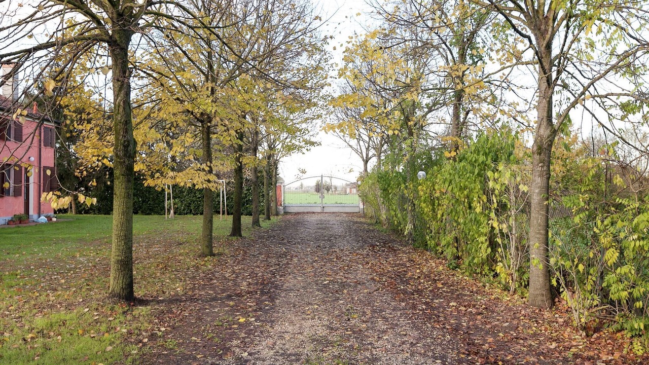 Photo of Outdoor in Pontecchio Polesine