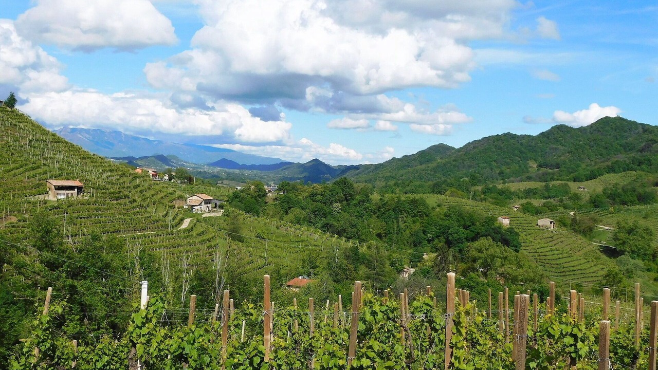 Photo of Others in Valdobbiadene