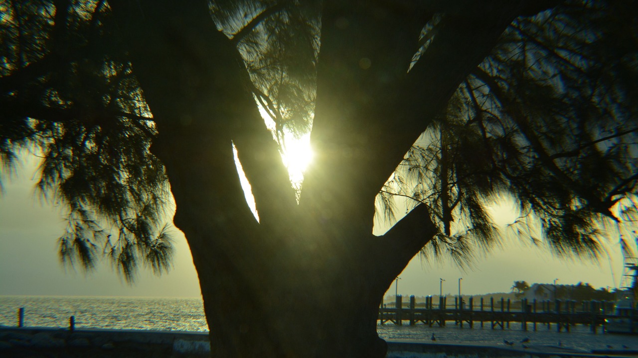 Photo of Outdoor in Nassau