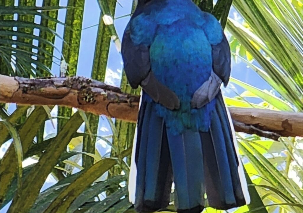 Photo of Others in Paraty