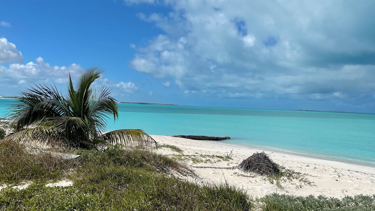 Photo of Others in Treasure Cay