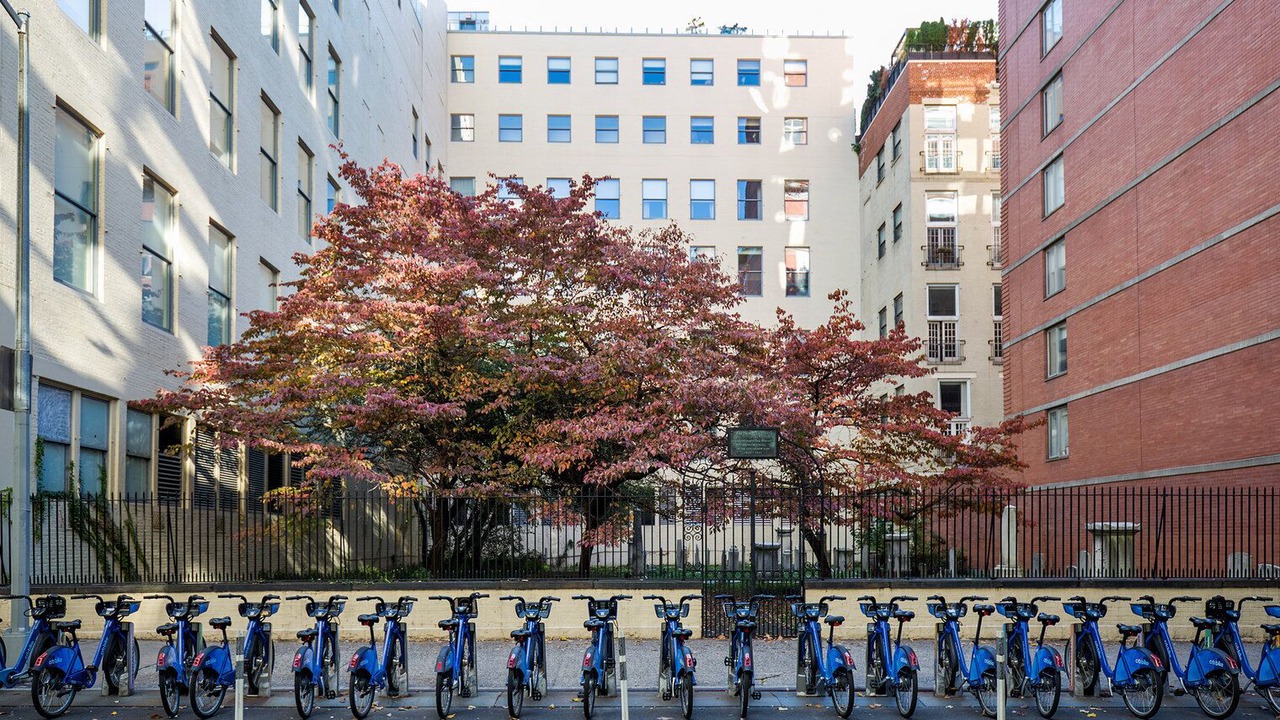 Photo of Outdoor in Chelsea