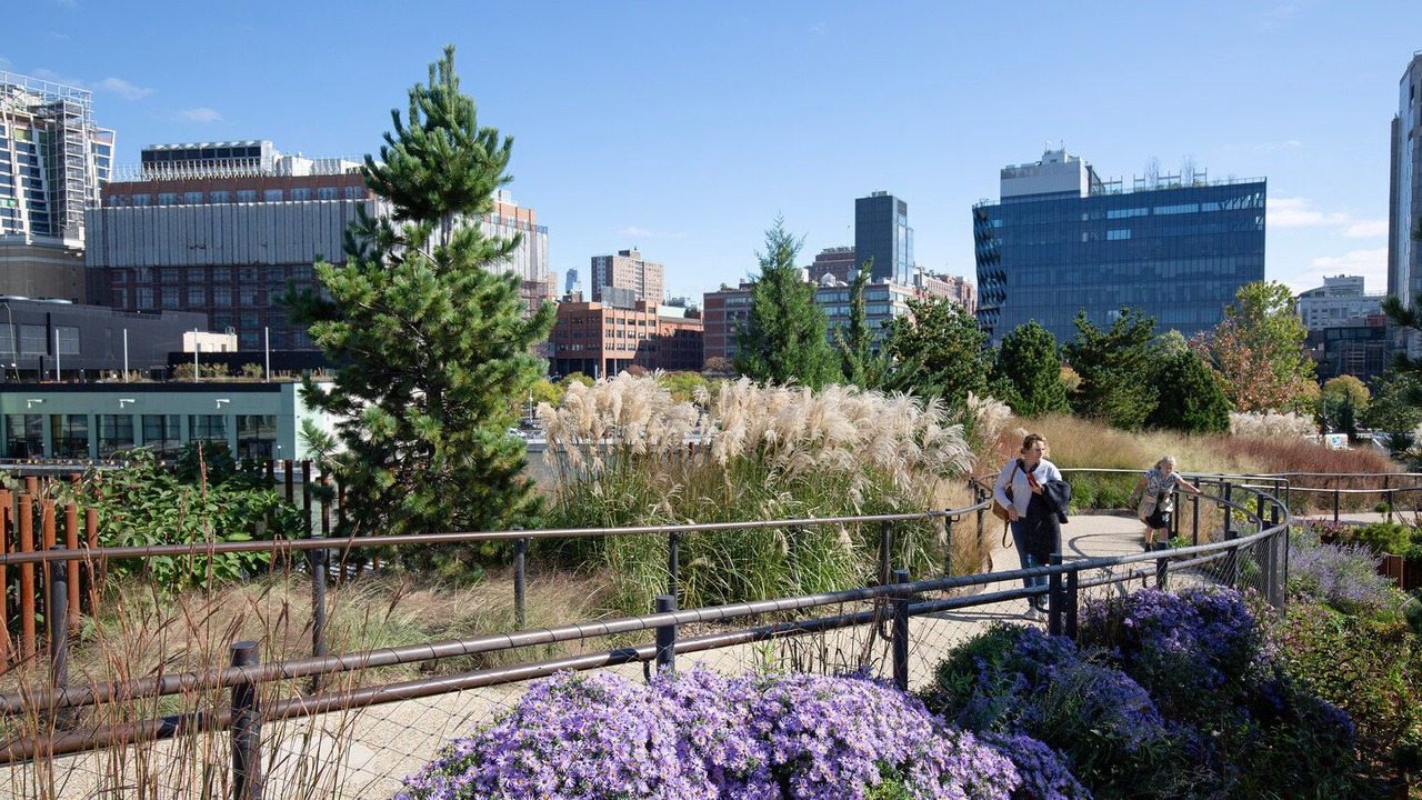 Photo of Outdoor in Chelsea