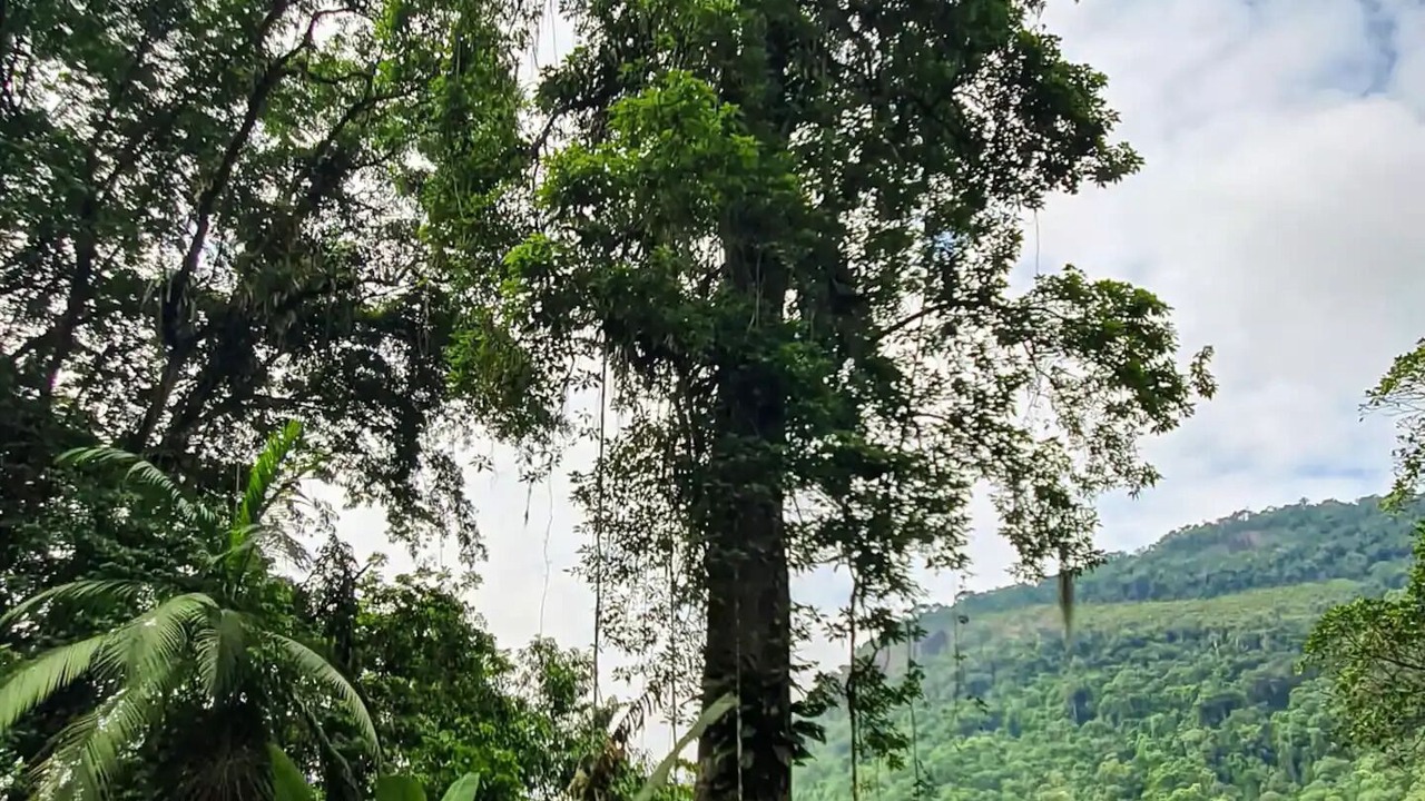 Photo of Outdoor in Paraty