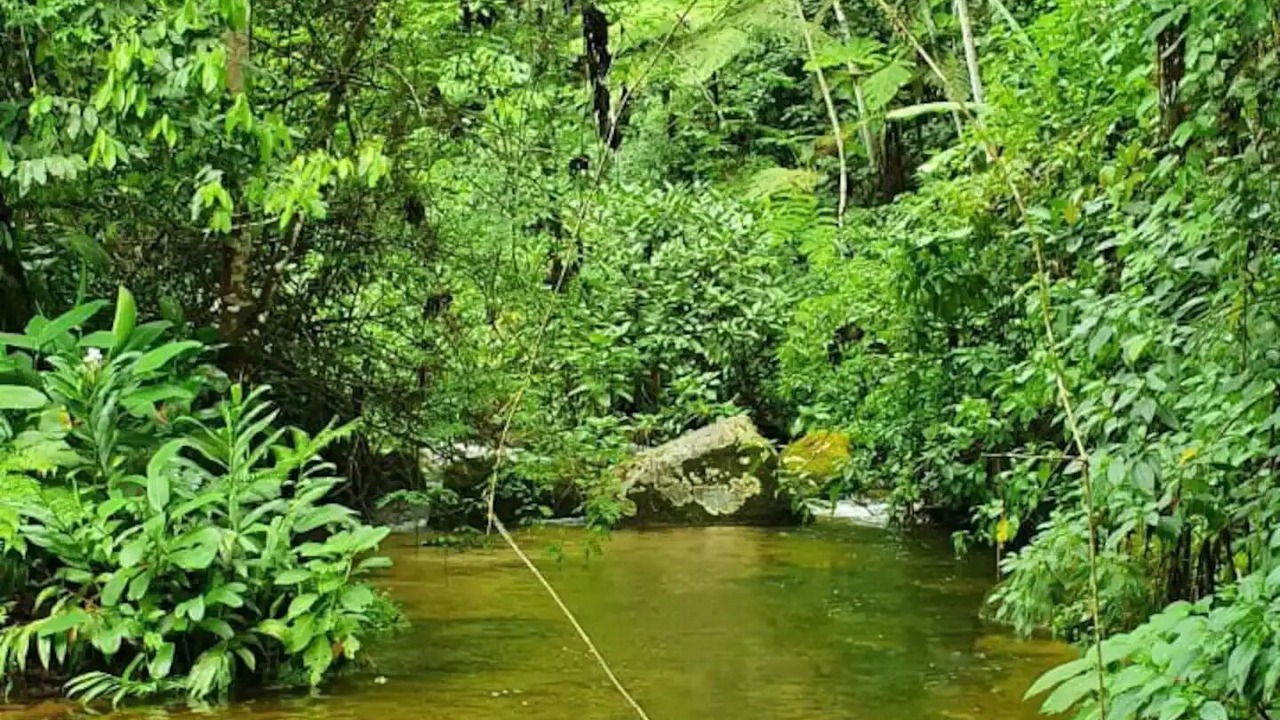 Photo of Outdoor in Paraty