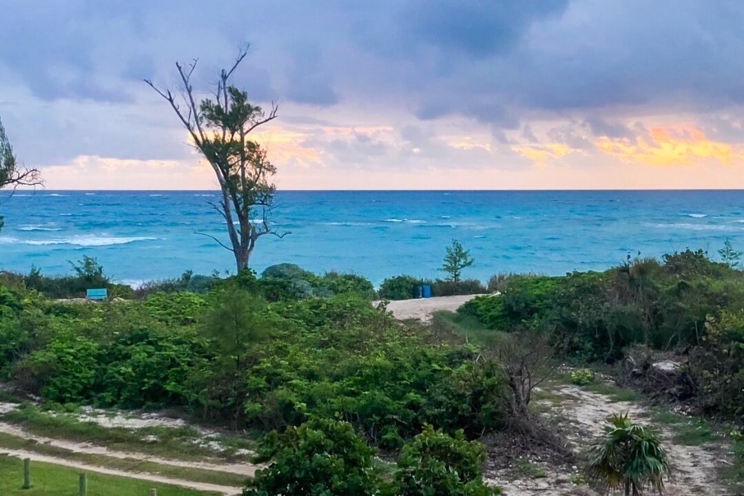 Photo of Others in Green Turtle Cay