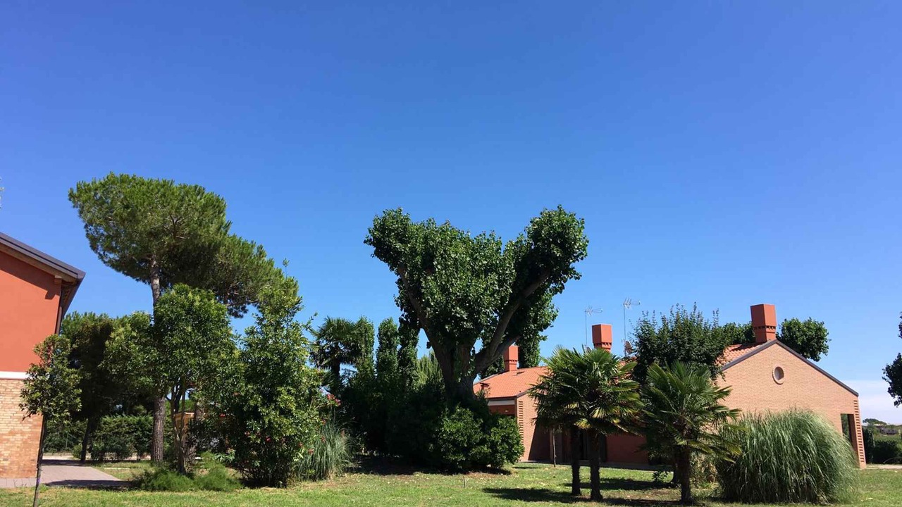 Photo of Outdoor in Cavallino-Treporti